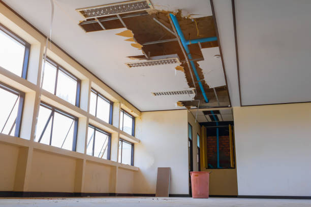 Best Commercial water damage restoration  in Cedar Point, NC
