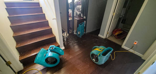 Best Professional water damage repair  in Cedar Point, NC