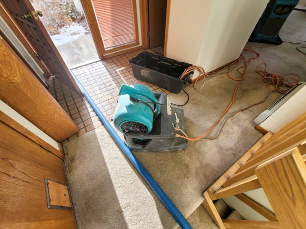 Best Carpet water damage restoration  in Cedar Point, NC