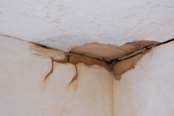 Best Water damage restoration near me  in Cedar Point, NC