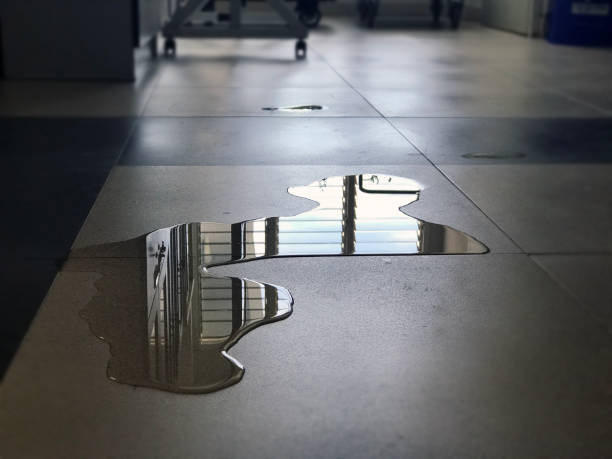 Best 24/7 water damage repair  in Cedar Point, NC