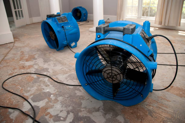 Best Flood damage cleanup  in Cedar Point, NC