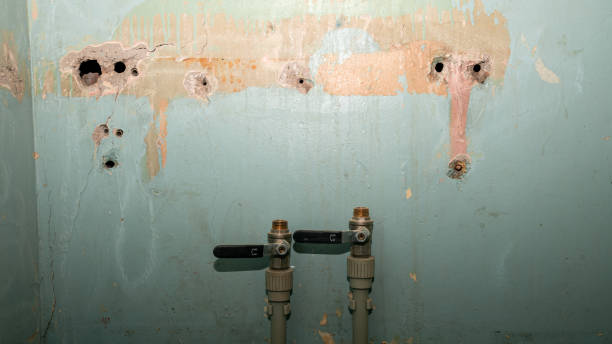 Best Carpet water damage restoration  in Cedar Point, NC